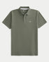Hollister Icon Polo