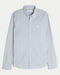 Hollister LONG-SLEEVE OXFORD SHIRT Blue Stripe