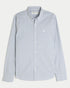 Hollister LONG-SLEEVE OXFORD SHIRT Blue Stripe